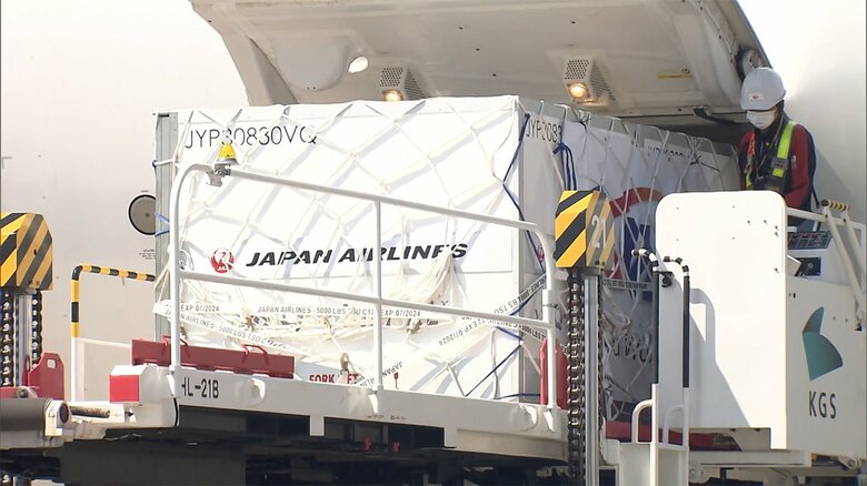 モデルナ社製ワクチン第一便　関西空港
