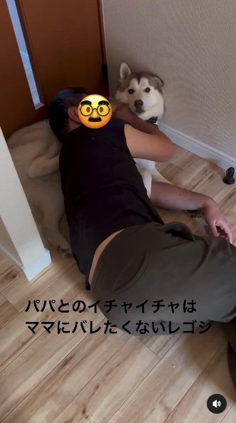 提供：キャプテン・レゴシさん