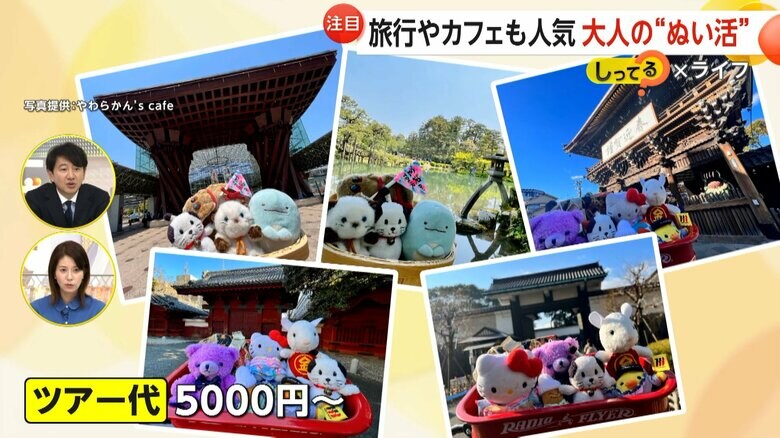 ぬいぐるみ専門の旅行ツアー「ぬい旅」
