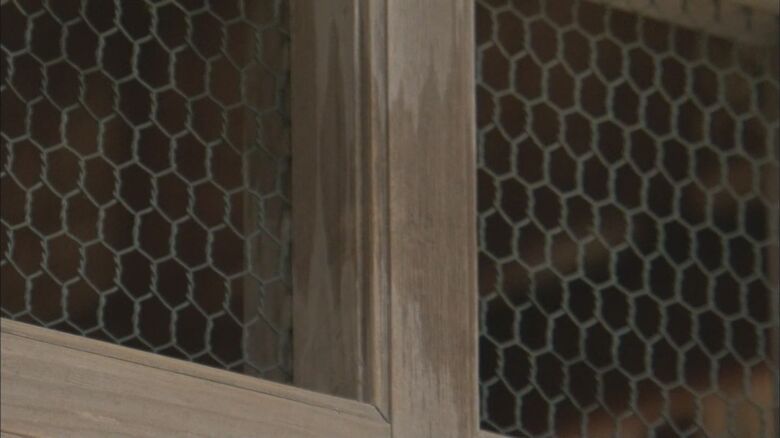 彌彦神社（2015年）