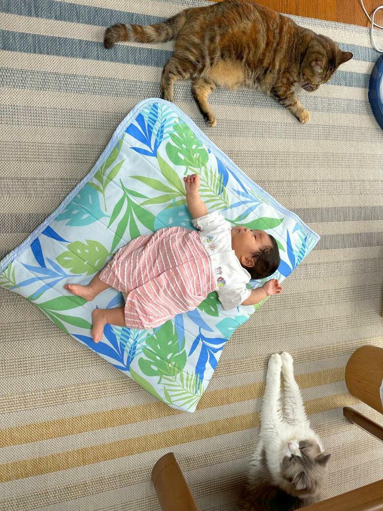 提供：エルモとみみりんさん