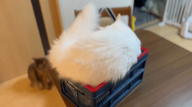 位置を調整中