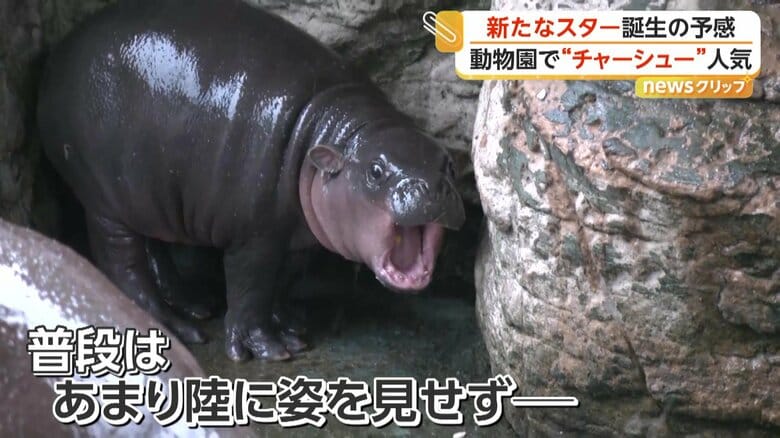 口を大きく開けるムーデーン