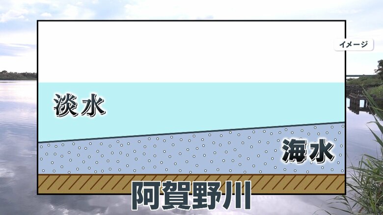 （海水の逆流イメージ）