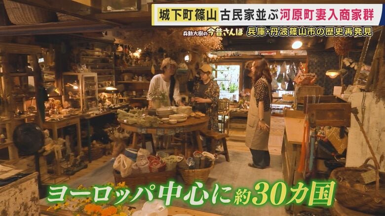 ハクトヤ