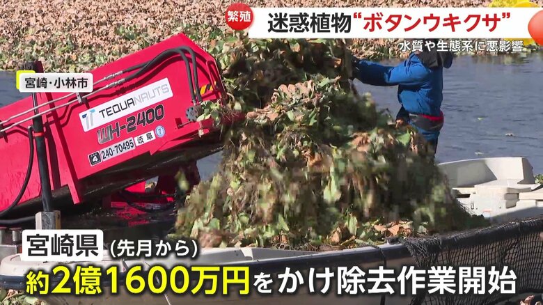約2億1600万円をかけ、1月から除去作業が行われている