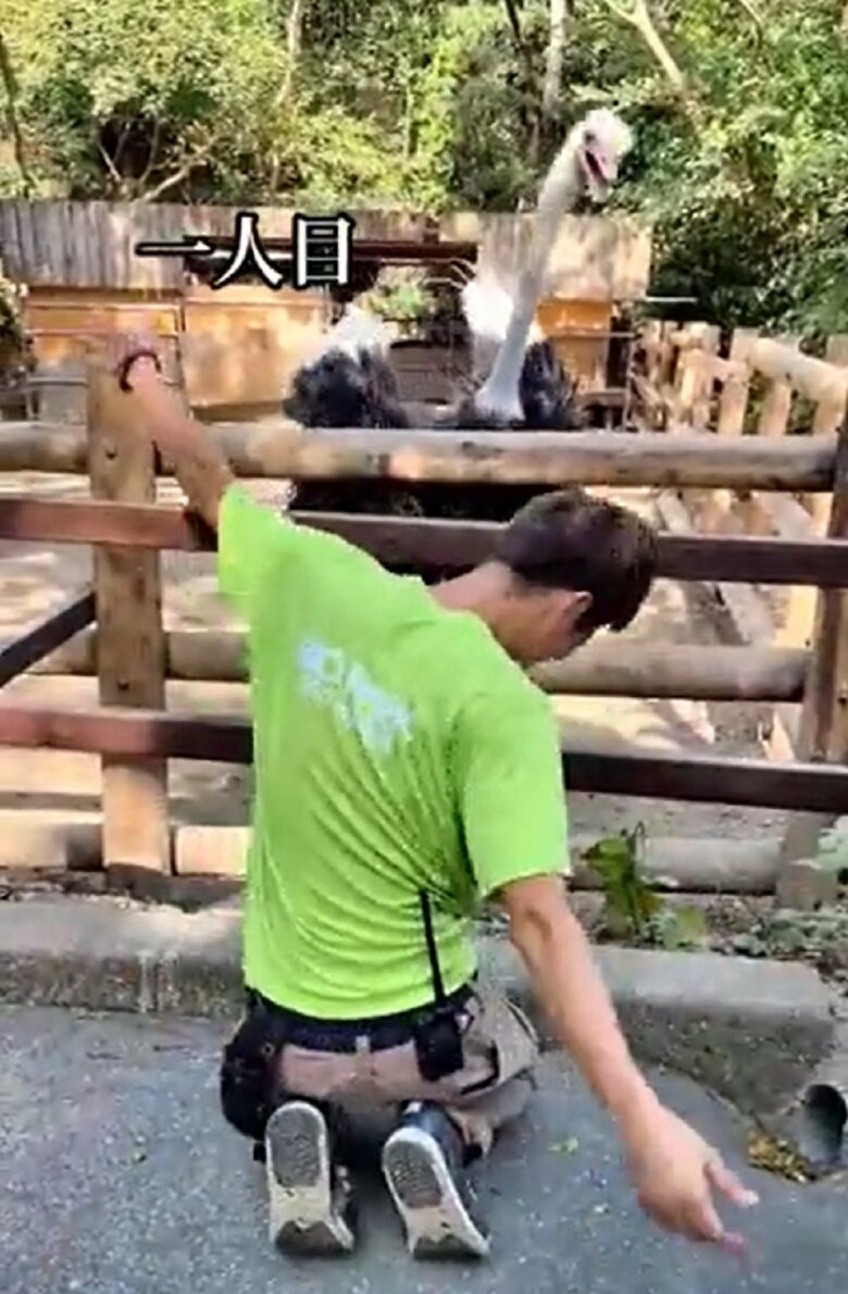 キレキレダンスにキョウちゃんも興味津々の様子