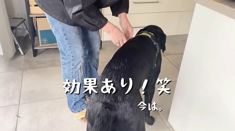 長男のアイデアは効果があったようだ