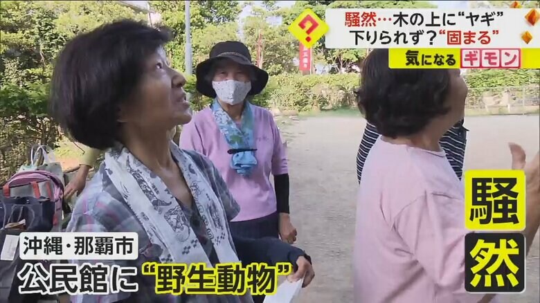 沖縄県那覇市の公民館に集まり、騒然とする人々