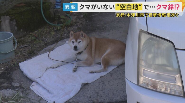 「ウゥ～」取材中に聞こえる声の主