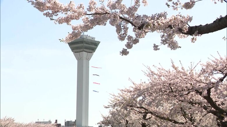 五稜郭タワーの鯉のぼり