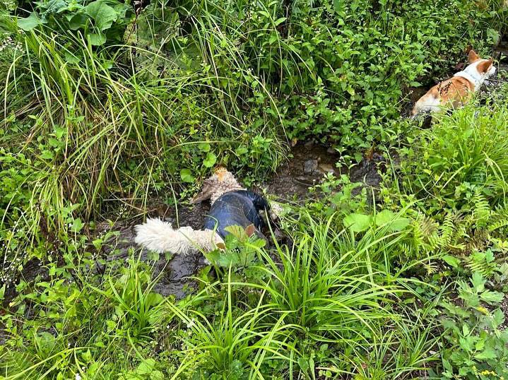夏の泥遊び（提供：hair.axis）