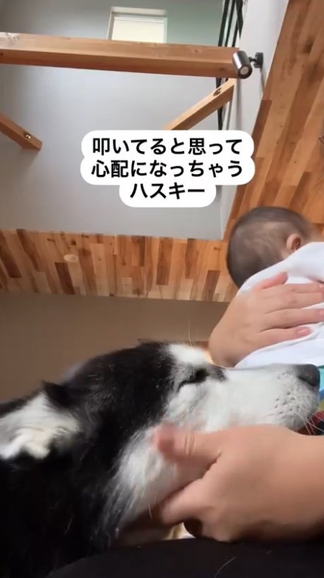 提供：akariさん