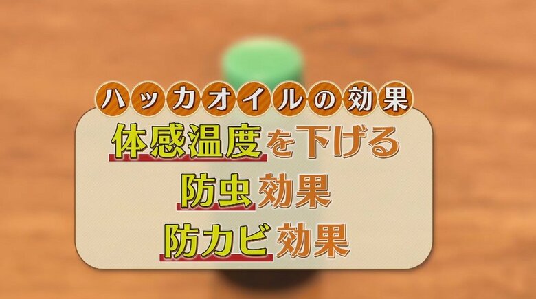 特に夏場に使える、一石三鳥の“ハッカオイルでの網戸ふき”