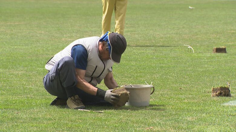 芝生の入れ替え作業