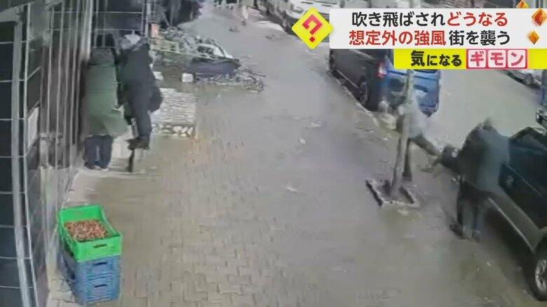 強風にあおられながら、街路樹にしがみつく瞬間⑤