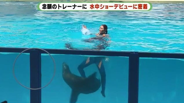 息の合ったサニーとの演技