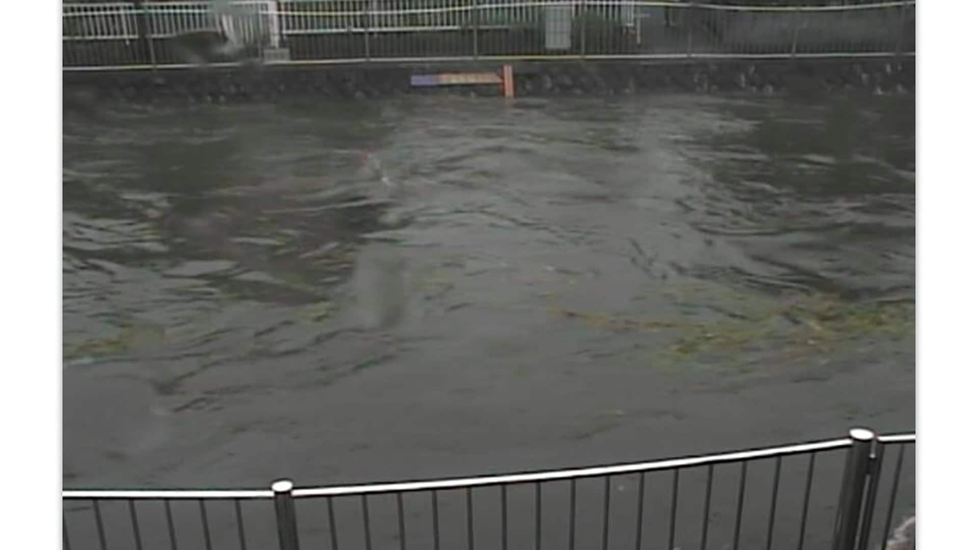 東京・善福寺川にレベル4氾濫危険警報　板橋区で1時間120ミリ超の雨、東京23区などで大雨危険警報も