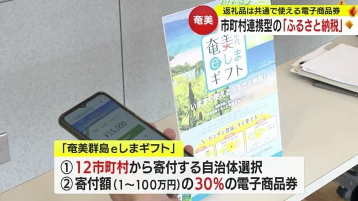 ふるさと納税 奄美市 鹿児島県奄美市 PayPay商品券(6,000円分)※地域