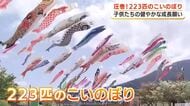 富士山バッグに泳ぐ色鮮やかなこいのぼり　子供の健やかな成長願って