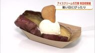 アイスクリームの万博、秋田初開催　全国各地の人気アイスが一堂に会する　暑い日にいかが？