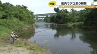 友釣りや毛針釣りで…石川県内の多くの河川でアユ釣りが解禁 金沢の犀川にも朝早くから多くの愛好家訪れる