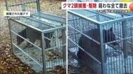 クマ2頭を捕獲し駆除 箱わな全て撤去　千秋公園で相次いだ目撃　秋田　