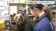 「生き物の魅力を伝えたい」 全国的にも珍しい！ 学生が作る「博物館」 広島大学・総合博物館