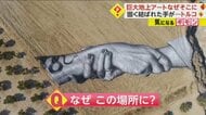 オリーブ畑に巨大な“地上アート” シリア地震で裂けたオリーブ畑に出現 団結への願いが込められる トルコ
