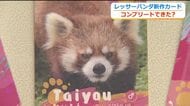 レッサーパンダ・トレカ第３弾　県内外のファンが