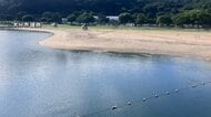 遊泳中止になっていた「田ノ浦ビーチ」10日から再開へ　大雨で大量の流木など押し寄せる　大分