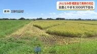 JAとなみ野、コメ概算金を全農とやまより3000円低い1万7000円に設定