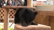 大型連休に合わせた“クマ”の生態感じる体験イベント開催　多くの家族連れでにぎわう　秋田・北秋田市