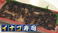 ｢サクサクして、まるでエビのから揚げ｣ 昆虫食×寿司!? “イナゴ寿司”を食べてみた【新潟発】