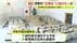 ”田久保騒動”に揺れた伊東市　半年あまり不在の副市長を選任へ　正…