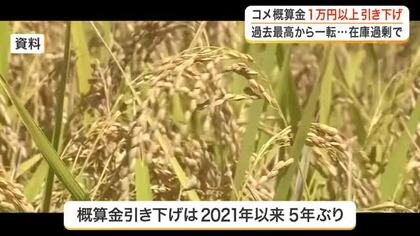 宮城のコメ概算金が軒並み１万円超の大幅引き下げ　過去最高だった去年から一転