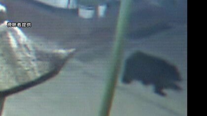 「こういう所にも出るんだ…」長野・善光寺周辺にクマ　観光客で賑わう「仲見世通り」近く　長野市