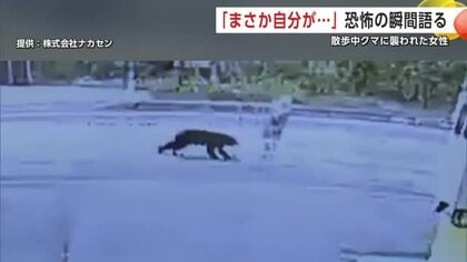 「気配はなかった…頭を狙われた」　散歩中クマに突然襲われた女性、恐怖の瞬間を語る　秋田