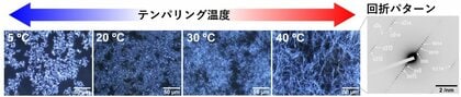 【ミヨシ油脂】広島大学と北海道大学との共同研究論文を発表、結晶の形と長さを制御し「油」を強く固める新技術