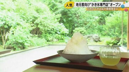 金沢の行列店が地元向けかき氷専門店をオープン——ミシュラン二つ星料亭の庭園で味わう「大人の隠れ家」
