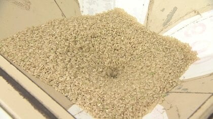 「お米の豆知識」精米機での精米の仕方で味や栄養価にも変化が コメの劣化を防ぐためには”玄米”での保存がおすすめ