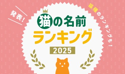 2025年最新版!「猫の名前&猫種ランキング」