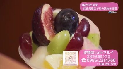 果物のおいしい秋に…至福のパフェ【トレリン】