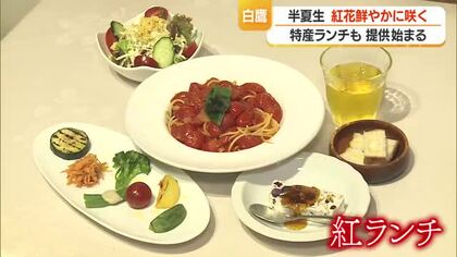 きょうは“半夏生”　紅花の産地・白鷹町で13年続く恒例「紅ランチ」提供　紅花入りピクルスなど　山形
