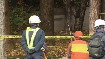 【ヒグマ速報】道内初の”緊急銃猟”適用に向け通行制限と避難誘導始める＿札幌市西区にまたクマ2頭出没＜北海道札幌市西区＞