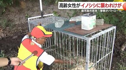 「わなをしかけても知恵がついている」相次ぐイノシシ被害に警戒強める住民　学校も対策呼びかけ【鹿児島発】