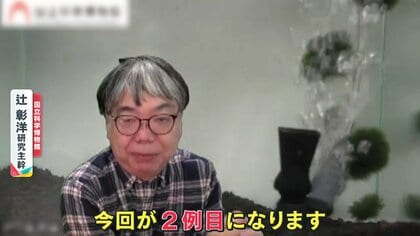 驚き】研究者もビックリ！国内2例目のマリモ「モトスマリモ」が