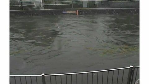 東京・善福寺川にレベル4氾濫危険警報　板橋区で1時間120ミリ超の雨、東京23区などで大雨危険警報も