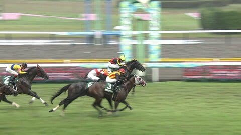 【新潟記念・G3】超豪華決戦はゾロアストロが制す！　岩田望来騎手　今年重賞6勝目を飾る