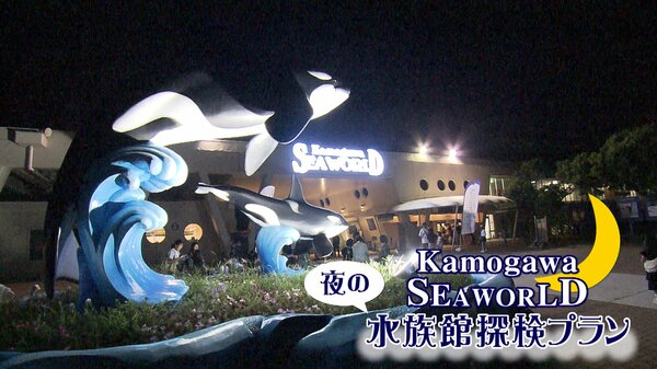 日中の暑さを避けて楽しむ「夜レジャー」　金曜日は最大午後9時まで延長する美術館も｜FNNプライムオンライン